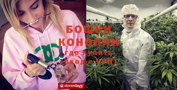 стафф Няндома