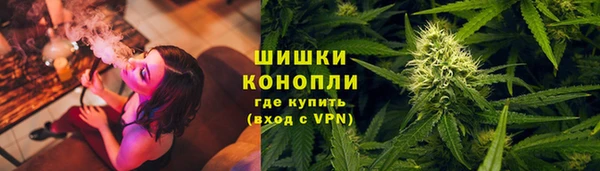 PSILOCYBIN Новодвинск
