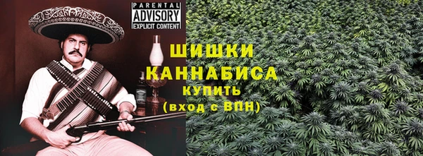 PSILOCYBIN Новодвинск