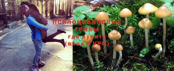 ешки Новозыбков