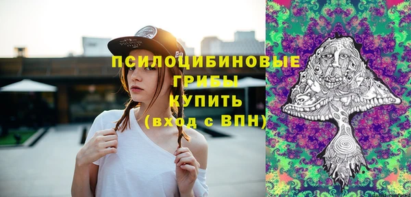PSILOCYBIN Новодвинск
