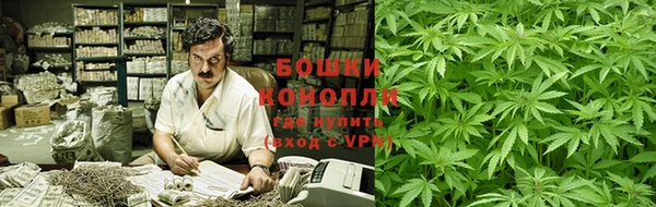 ешки Новозыбков
