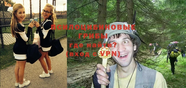 PSILOCYBIN Новодвинск