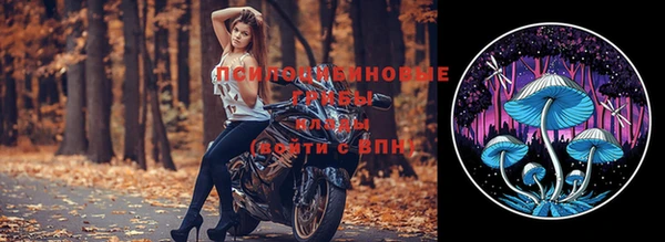 каннабис Новокубанск