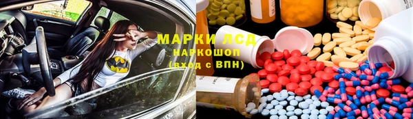 PSILOCYBIN Новодвинск