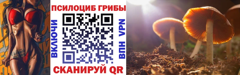 Галлюциногенные грибы GOLDEN TEACHER  Кукмор 